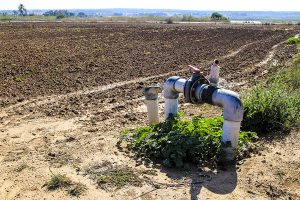 Irrigation Well Drilling Ocean County - Everything You Need to Know